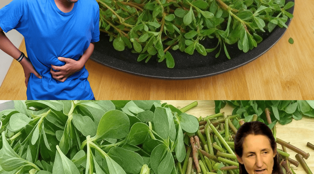 Your Garden’s Unsung Hero Your Garden’s Unsung Hero