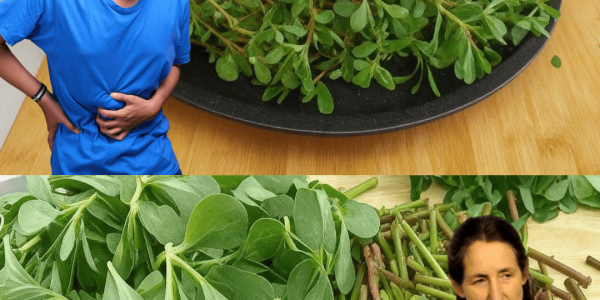 Your Garden’s Unsung Hero Your Garden’s Unsung Hero