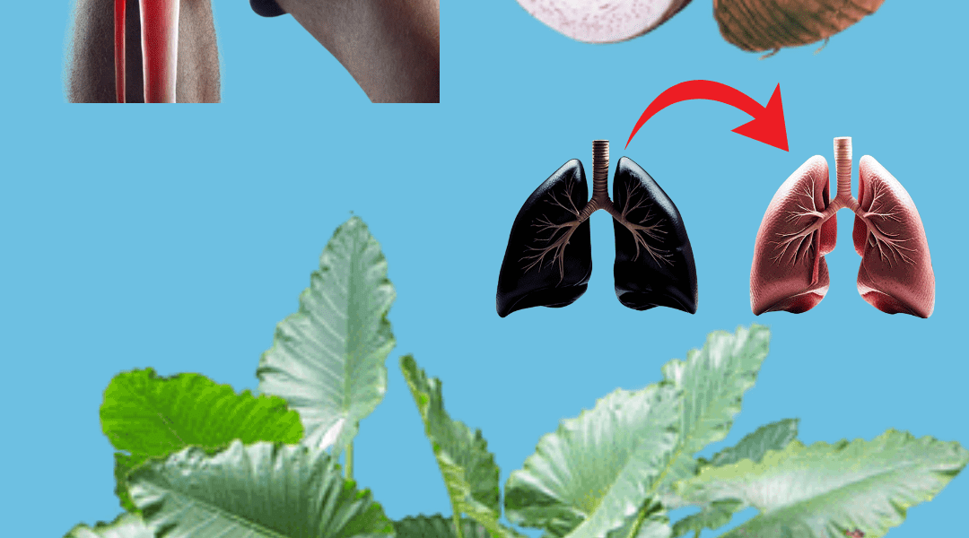 The Tropical Superfood That Transforms Your Health and Plate The Tropical Superfood That Transforms Your Health and Plate