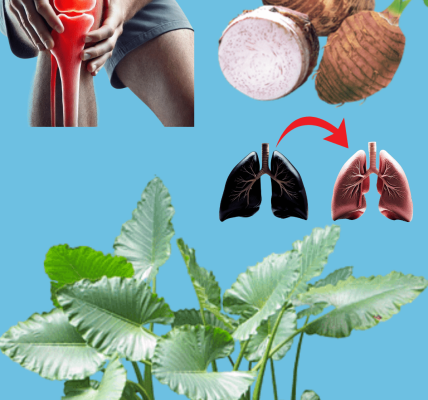 The Tropical Superfood That Transforms Your Health and Plate The Tropical Superfood That Transforms Your Health and Plate