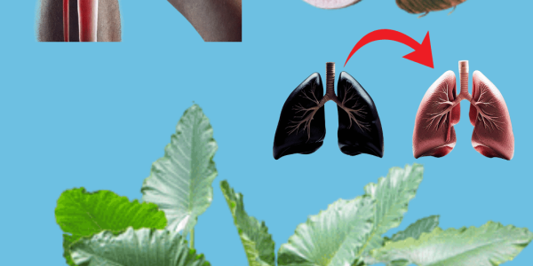 The Tropical Superfood That Transforms Your Health and Plate