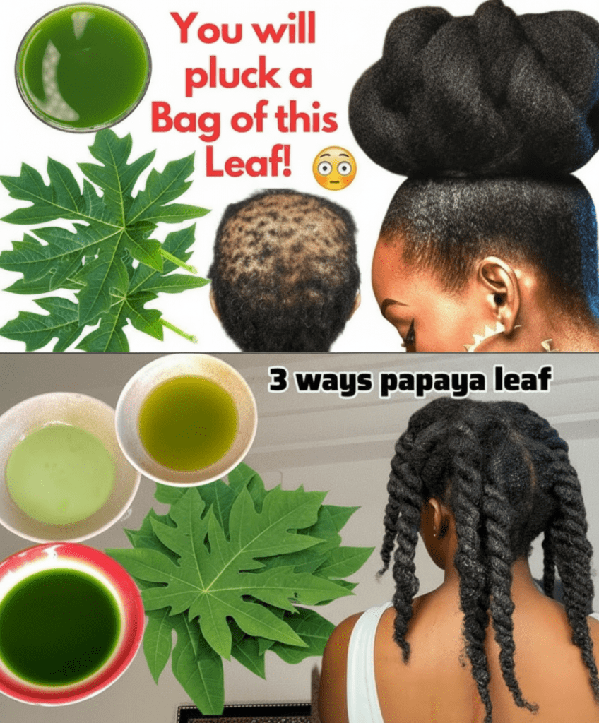 This image has an empty alt attribute; its file name is freepik__to-nh-tng-t__58335-848x1024.png