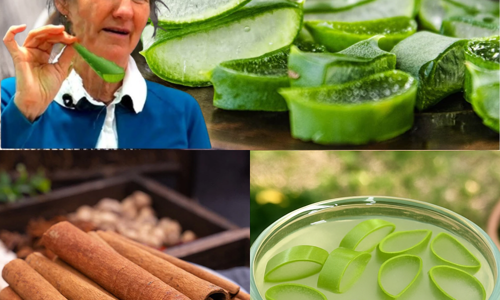 The Cancer-Fighting, Vision-Boosting Elixir You Can Make at Home: Aloe Vera & Cinnamon Unveiled 🌿 The Cancer-Fighting, Vision-Boosting Elixir You Can Make at Home: Aloe Vera & Cinnamon Unveiled 🌿