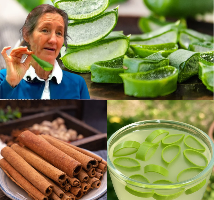 The Cancer-Fighting, Vision-Boosting Elixir You Can Make at Home: Aloe Vera & Cinnamon Unveiled 🌿 The Cancer-Fighting, Vision-Boosting Elixir You Can Make at Home: Aloe Vera & Cinnamon Unveiled 🌿