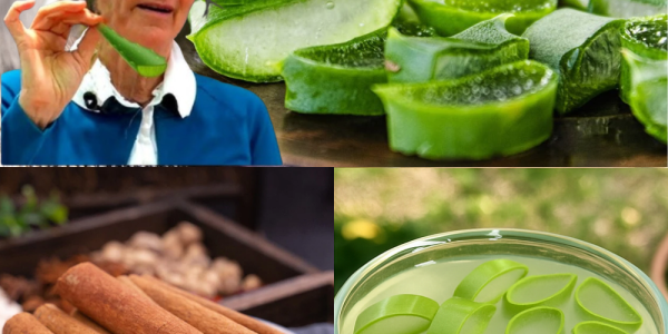 The Cancer-Fighting, Vision-Boosting Elixir You Can Make at Home: Aloe Vera & Cinnamon Unveiled 🌿