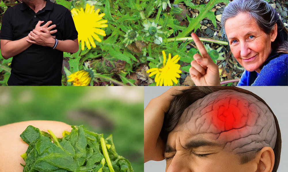 š¼ Could Dandelions Be Your Key to Vibrant Health and Joy? š¼ Could Dandelions Be Your Key to Vibrant Health and Joy?