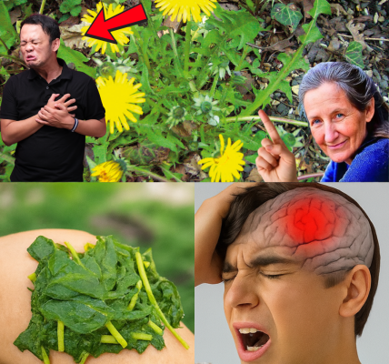 š¼ Could Dandelions Be Your Key to Vibrant Health and Joy? š¼ Could Dandelions Be Your Key to Vibrant Health and Joy?