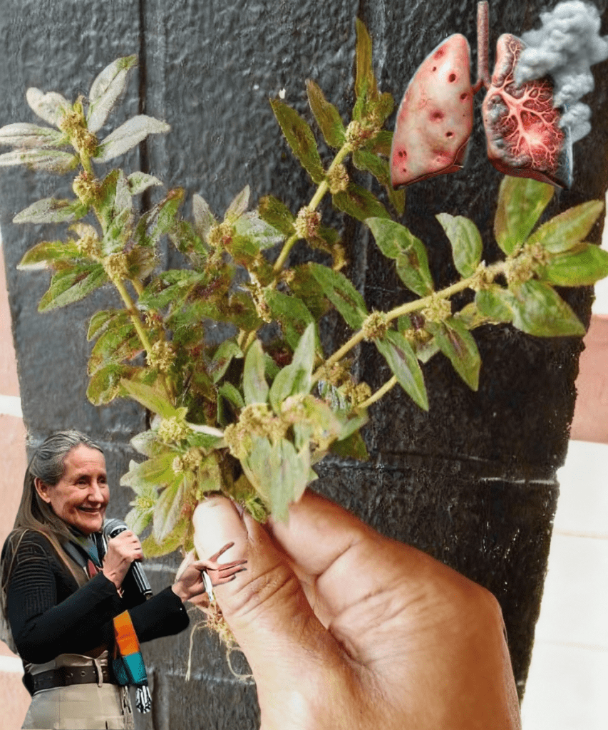 This image has an empty alt attribute; its file name is gj-2025-09-25T101019.901-853x1024.png