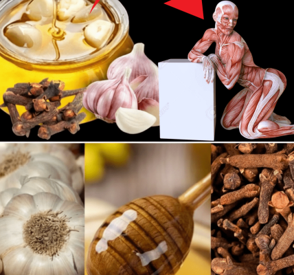 🌿 The Ancient Elixir You’ll Wish You Tried Sooner: Ginger, Clove, and Honey for Vibrant Health 🌿 The Ancient Elixir You’ll Wish You Tried Sooner: Ginger, Clove, and Honey for Vibrant Health