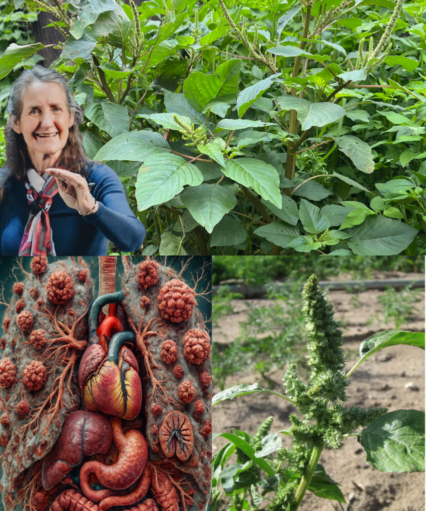 This image has an empty alt attribute; its file name is gj-2025-09-26T160144.873-853x1024.png