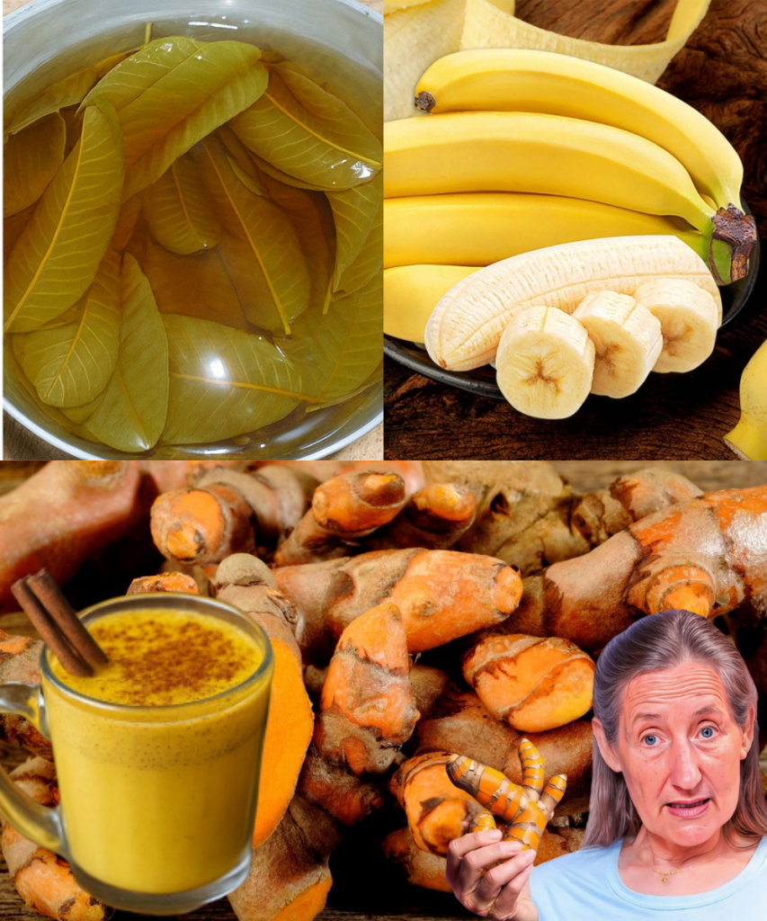 This image has an empty alt attribute; its file name is gj-2025-09-26T212529.668-853x1024.png