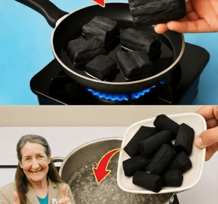 💧 The Life-Saving DIY Water Filter You Can Build Anywhere: Clean Water in Any Crisis 💧 The Life-Saving DIY Water Filter You Can Build Anywhere: Clean Water in Any Crisis