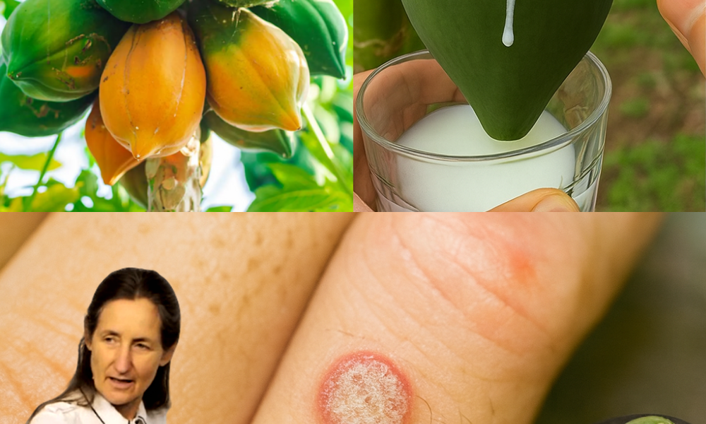 🌴 Papaya Sap Unveiled: 9 Surprising Benefits to Transform Your Health 🌴 Papaya Sap Unveiled: 9 Surprising Benefits to Transform Your Health