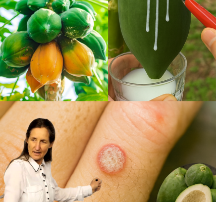 🌴 Papaya Sap Unveiled: 9 Surprising Benefits to Transform Your Health 🌴 Papaya Sap Unveiled: 9 Surprising Benefits to Transform Your Health