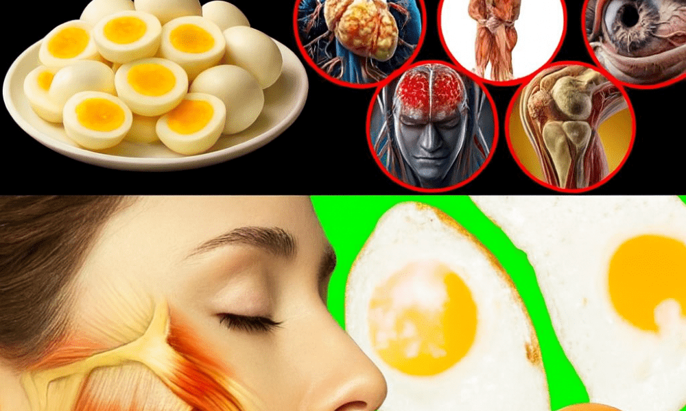 🌞 Crack into Vitality: Why Two Boiled Eggs Every Morning Could Transform Your Health 🌞 Crack into Vitality: Why Two Boiled Eggs Every Morning Could Transform Your Health
