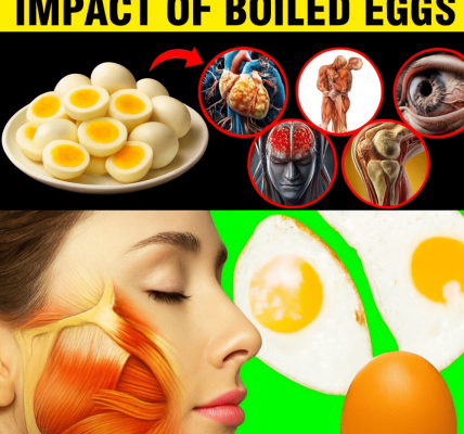 đ Crack into Vitality: Why Two Boiled Eggs Every Morning Could Transform Your Health đ Crack into Vitality: Why Two Boiled Eggs Every Morning Could Transform Your Health