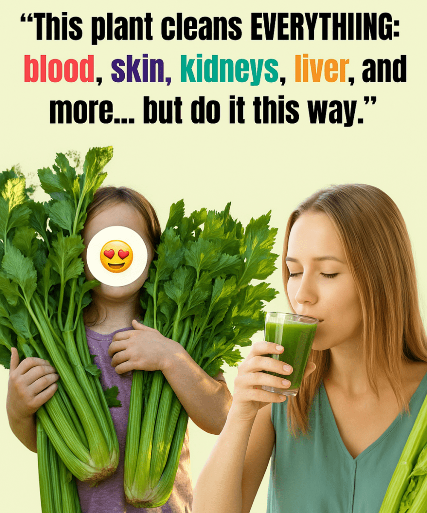 This image has an empty alt attribute; its file name is gj-34-853x1024.png