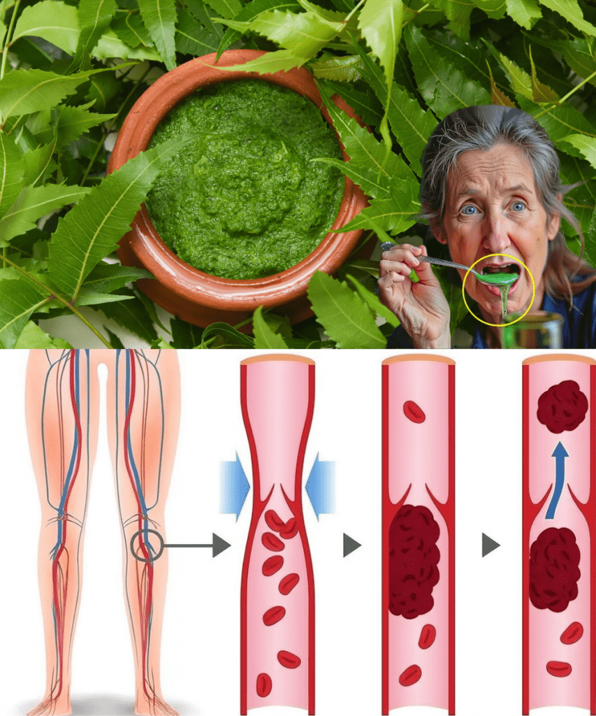 This image has an empty alt attribute; its file name is gj-7-853x1024.png