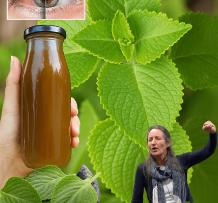 🌿 Oregano’s Hidden Magic: Unlock Crystal-Clear Vision with This Kitchen Superhero! 🌿 Oregano’s Hidden Magic: Unlock Crystal-Clear Vision with This Kitchen Superhero!