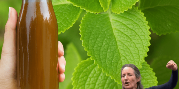 🌿 Oregano’s Hidden Magic: Unlock Crystal-Clear Vision with This Kitchen Superhero! 🌿 Oregano’s Hidden Magic: Unlock Crystal-Clear Vision with This Kitchen Superhero!