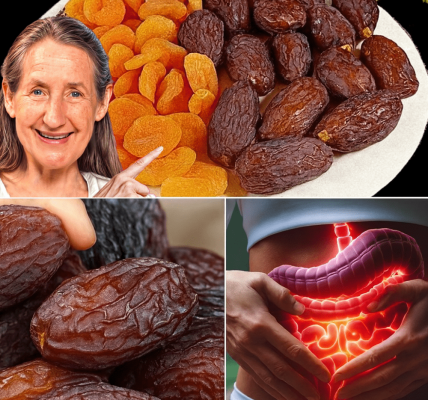 The Surprising Superfood You’re Not Eating Enough: How Dried Prunes Can Transform Your Gut Health! 🌿 The Surprising Superfood You’re Not Eating Enough: How Dried Prunes Can Transform Your Gut Health! 🌿