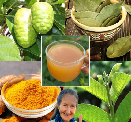 🌿 The Miracle Nightly Elixir: Fight Cancer, Swelling, Diabetes, and Poor Circulation Naturally 🌿 The Miracle Nightly Elixir: Fight Cancer, Swelling, Diabetes, and Poor Circulation Naturally