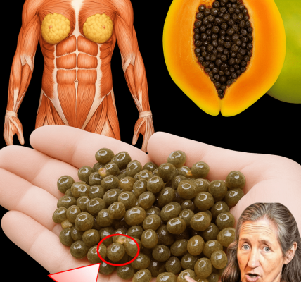 🌱 Papaya Seeds: The Tiny Superfood That Wipes Out 10 Common Health Issues Naturally 🌱 Papaya Seeds: The Tiny Superfood That Wipes Out 10 Common Health Issues Naturally