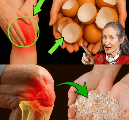 Eggshells Unlocked: A Treasure Trove of Health, Beauty, and Eco Benefits You’ll Wish You Knew Sooner! 🥚✨ Eggshells Unlocked: A Treasure Trove of Health, Beauty, and Eco Benefits You’ll Wish You Knew Sooner! 🥚✨