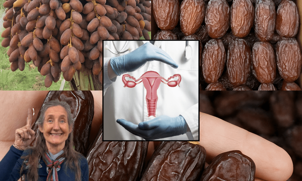 đ´ Discover the Sweet Secret: 14 Astonishing Health Benefits of Dates Youâll Wish You Knew Sooner đ´ Discover the Sweet Secret: 14 Astonishing Health Benefits of Dates Youâll Wish You Knew Sooner