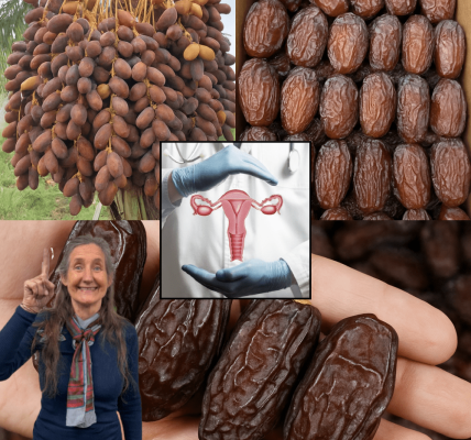 🌴 Discover the Sweet Secret: 14 Astonishing Health Benefits of Dates You’ll Wish You Knew Sooner 🌴 Discover the Sweet Secret: 14 Astonishing Health Benefits of Dates You’ll Wish You Knew Sooner