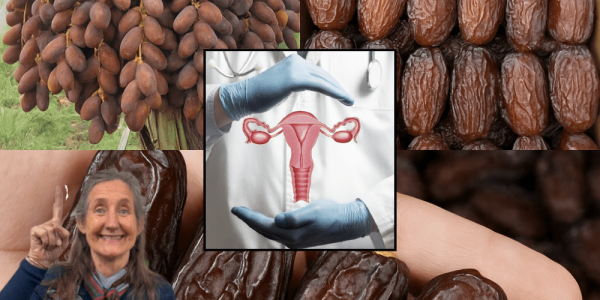 🌴 Discover the Sweet Secret: 14 Astonishing Health Benefits of Dates You’ll Wish You Knew Sooner