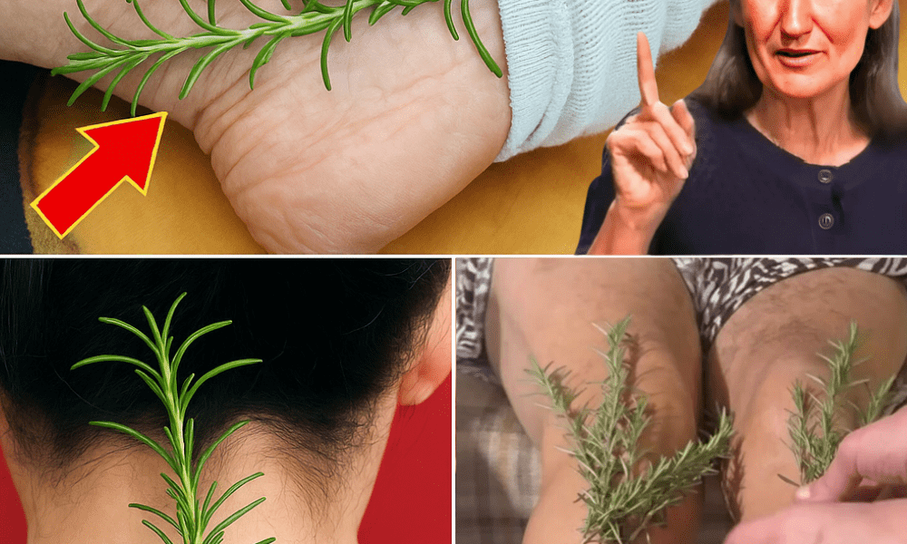 🌿 Transform Your Life with Rosemary: 25 Astonishing Uses You’ll Wish You Knew Sooner