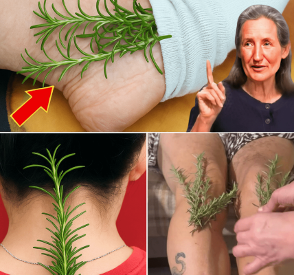 🌿 Transform Your Life with Rosemary: 25 Astonishing Uses You’ll Wish You Knew Sooner 🌿 Transform Your Life with Rosemary: 25 Astonishing Uses You’ll Wish You Knew Sooner