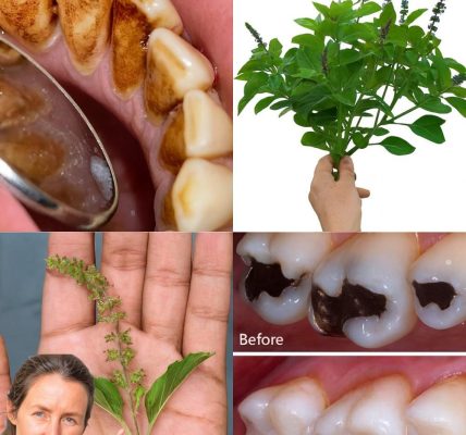 Nature’s Secret for Perfect Oral Health 🌿 Nature’s Secret for Perfect Oral Health 🌿