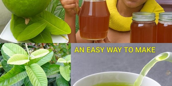 17 Life-Changing Reasons to Sip It Twice a Week