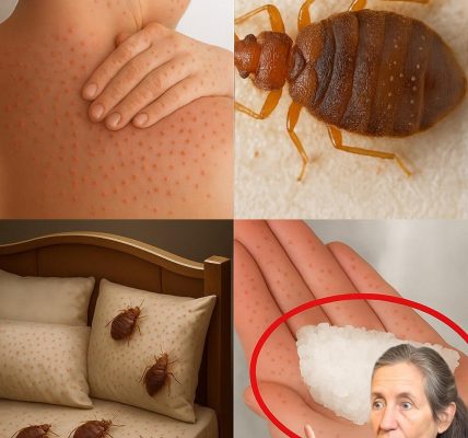 🌿 Can Salt Really Banish Bedbugs from Your Garden in Minutes? Uncover the Truth! 🌿 Can Salt Really Banish Bedbugs from Your Garden in Minutes? Uncover the Truth!