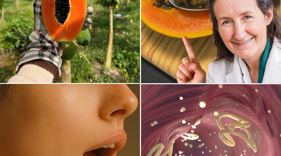 The Hidden Gut-Healing Treasure You’re Tossing Away The Hidden Gut-Healing Treasure You’re Tossing Away