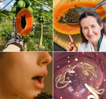 The Hidden Gut-Healing Treasure You’re Tossing Away The Hidden Gut-Healing Treasure You’re Tossing Away