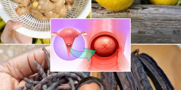 Nature’s All-in-One Elixir for Radiant Women’s Health