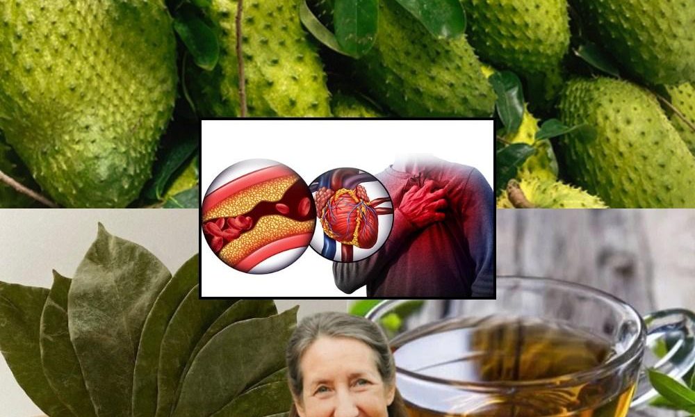 One Simple Tea That Fights Cancer, Conquers Diabetes, and Guards Your Heart Forever One Simple Tea That Fights Cancer, Conquers Diabetes, and Guards Your Heart Forever