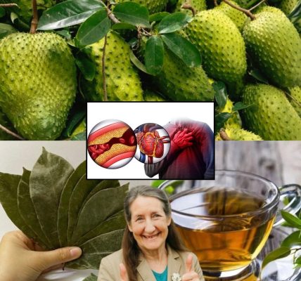 One Simple Tea That Fights Cancer, Conquers Diabetes, and Guards Your Heart Forever