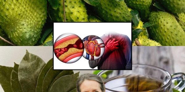 One Simple Tea That Fights Cancer, Conquers Diabetes, and Guards Your Heart Forever One Simple Tea That Fights Cancer, Conquers Diabetes, and Guards Your Heart Forever