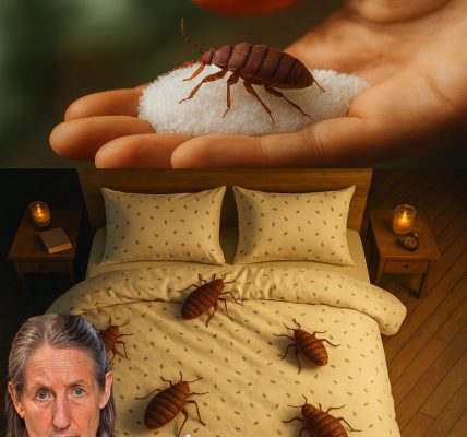 Banish Bedbugs, Mosquitoes, Cockroaches, and More with One Simple Ingredient! Banish Bedbugs, Mosquitoes, Cockroaches, and More with One Simple Ingredient!