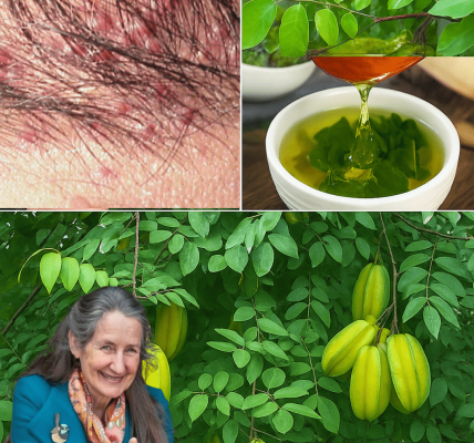 ๐ The Hidden Leaf That Banishes Hives and Revives Your Vitality Overnight โ dogpjs.com ๐ The Hidden Leaf That Banishes Hives and Revives Your Vitality Overnight โ dogpjs.com