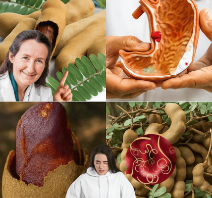 5 Shocking Health Secrets Revealed – dogpjs.com 5 Shocking Health Secrets Revealed – dogpjs.com