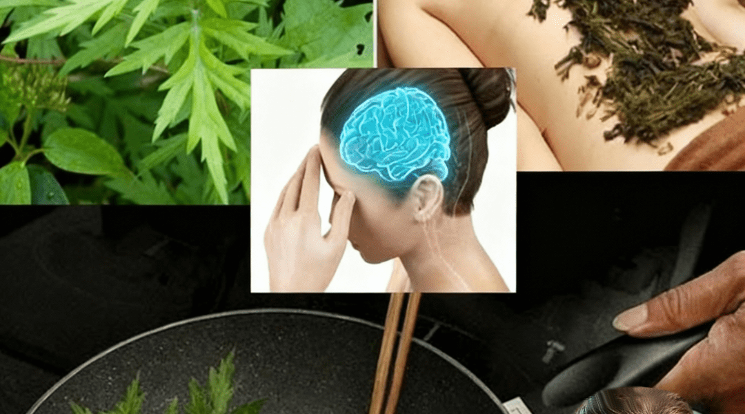 Unlock the Secret to Blissful Sleep: Why Mugwort Is Your Nighttime Game-Changer đżđ¤ Unlock the Secret to Blissful Sleep: Why Mugwort Is Your Nighttime Game-Changer đżđ¤