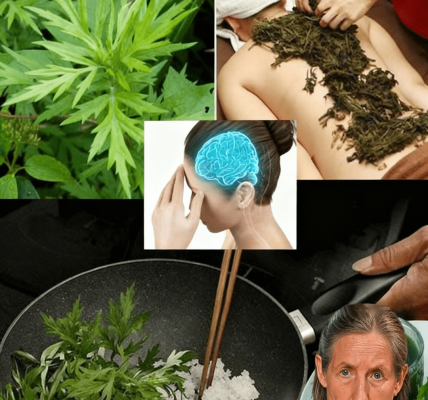 Unlock the Secret to Blissful Sleep: Why Mugwort Is Your Nighttime Game-Changer đżđ¤ Unlock the Secret to Blissful Sleep: Why Mugwort Is Your Nighttime Game-Changer đżđ¤