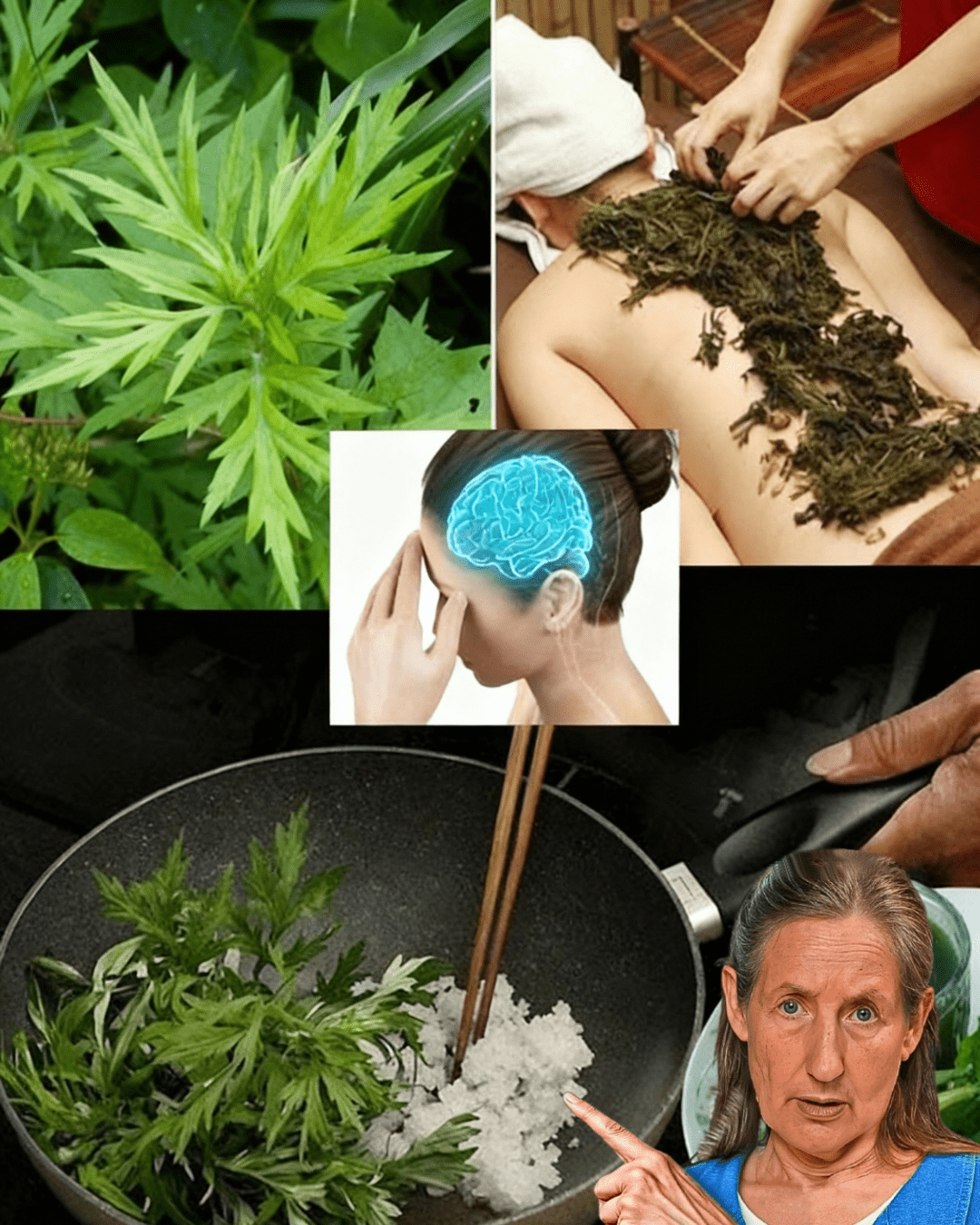 Unlock the Secret to Blissful Sleep: Why Mugwort Is Your Nighttime Game-Changer 🌿💤 Unlock the Secret to Blissful Sleep: Why Mugwort Is Your Nighttime Game-Changer 🌿💤