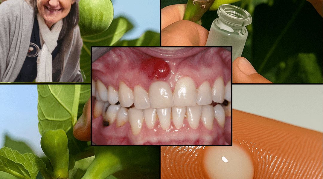 The Secret Healing Elixir Hiding in Plain Sight – dogpjs.com The Secret Healing Elixir Hiding in Plain Sight – dogpjs.com