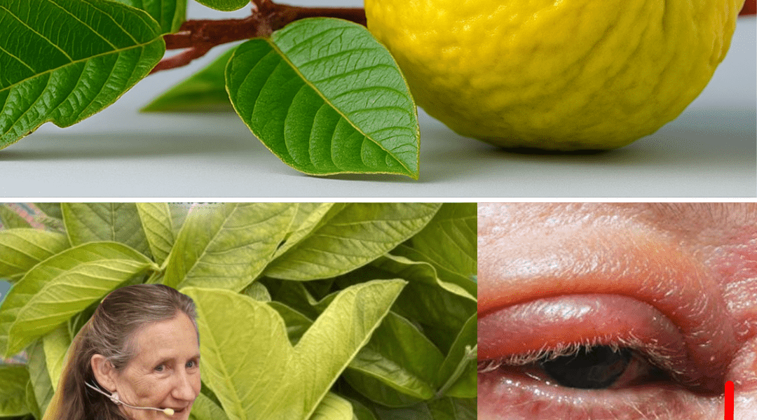 Transform Your Eye Health Naturally! šæ ā dogpjs.com Transform Your Eye Health Naturally! šæ ā dogpjs.com